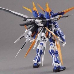 Gundam Astray Blue Frame D (Mg - 1/100) 2 Gundam