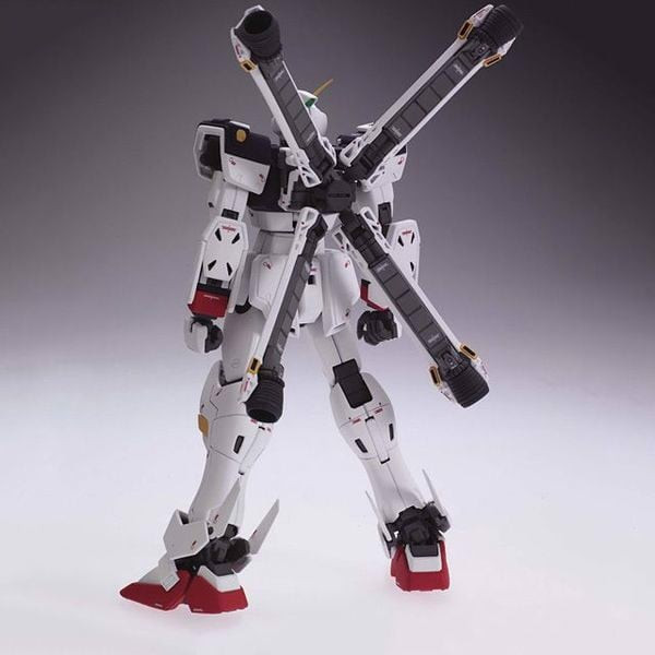 Gunpla_Shop_Ban_Crossbone_Gundam_X1_Ver_Ka_Mg_Master.jpg Gundam