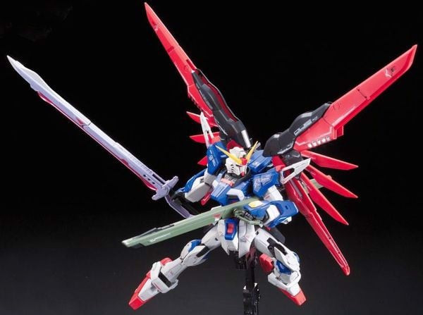 Figure_Destiny_Gundam_Rg_Nhat_Ban_Grande.jpg Gundam