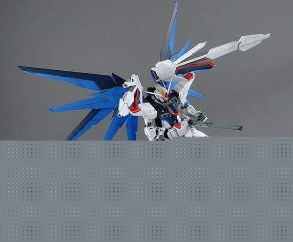Freedom_Gundam_Ver_2_0_Mg__1100_Shop_Grande.jpg Gundam