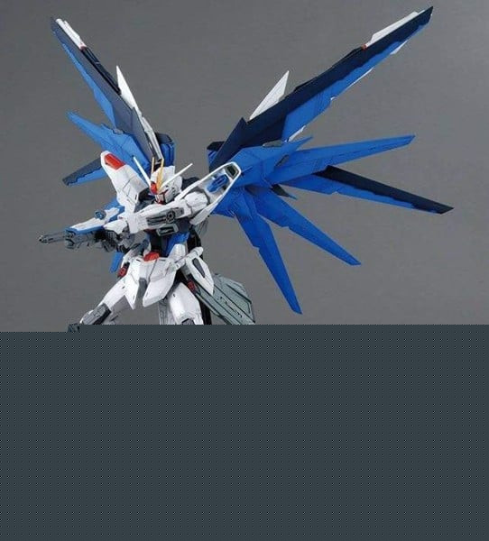 Freedom_Gundam_Ver_2_0_Mg__1100_Shop_Vietnam_Grande.jpg Gundam