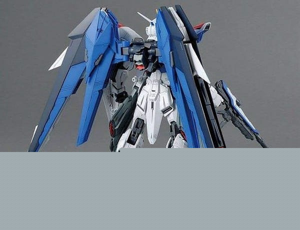 Shop_Ban_Freedom_Gundam_Ver_2_0_Mg__1100_Grande.jpg Gundam